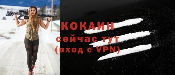 мдпв Кулебаки